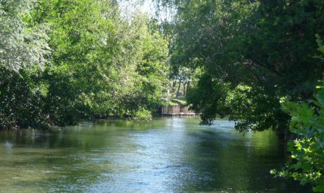 L’EAU, AU CŒUR D’ENTRAIGUES